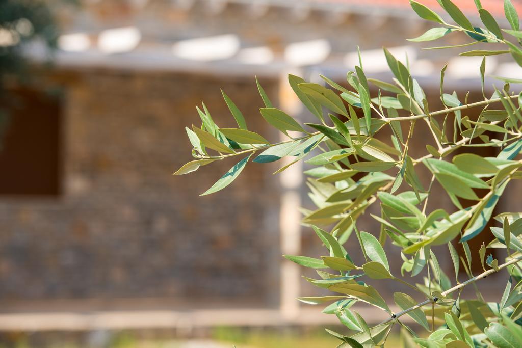 Olive Land Villas Limenária Szoba fotó