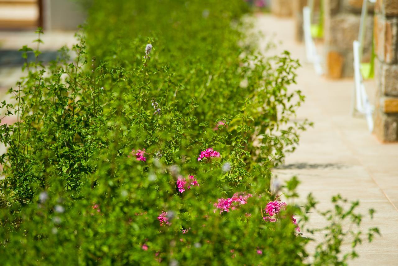 Olive Land Villas Limenária Kültér fotó